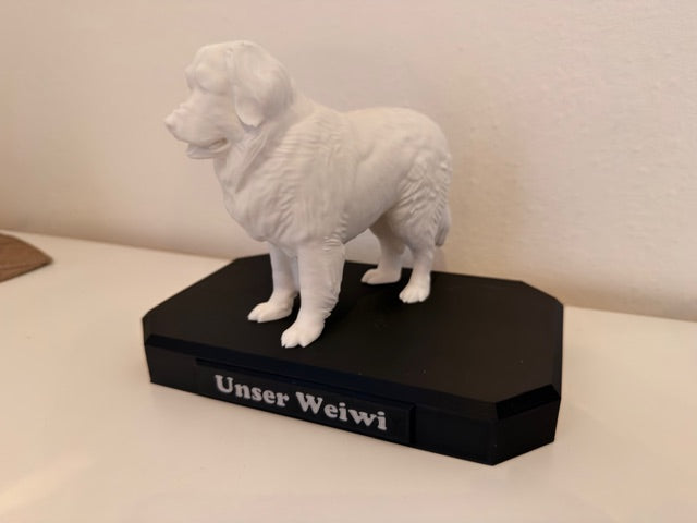 Tiermodell Wunschfarbe